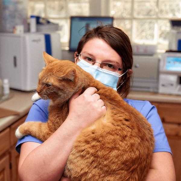 sick-pet-exam-min pet icon