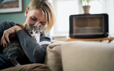 Caring for Your Anxious Pet: 5 Essential Steps to Provide Comfort and Support
